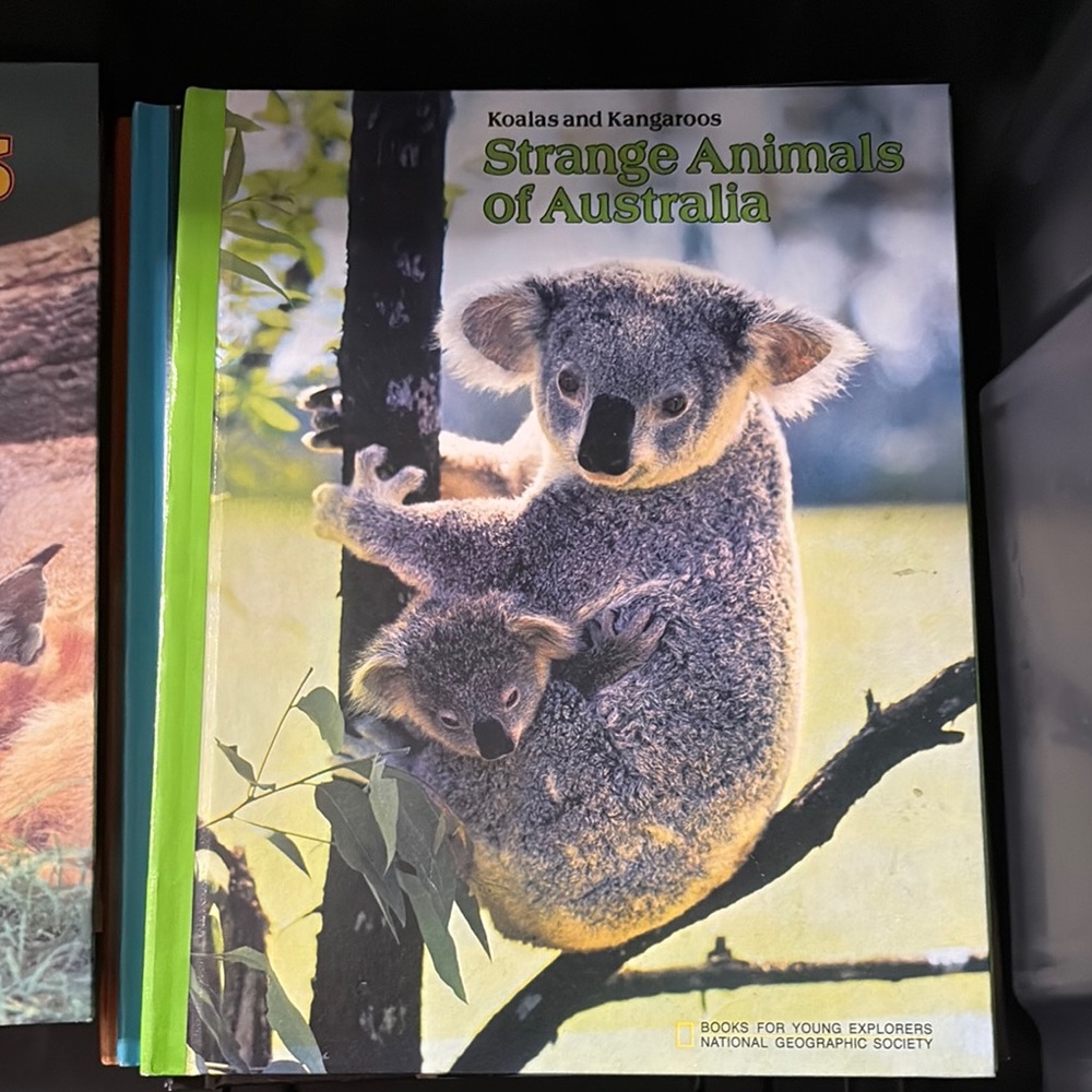 National Geographic Koalas and Kangaroos Book - Green and Blue